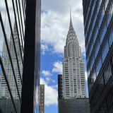 Entry image for Windows of New York
