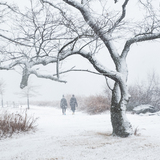 Entry image for A Walk in the Snowstorm