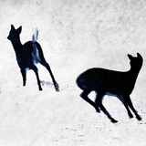 Entry image for Alarm, Cyanotype