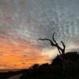 Entry image for Sunset solitude