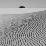 Entry image for Dune's Toupee