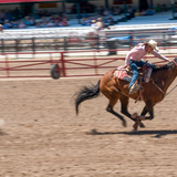 Entry image for Barrel Racer