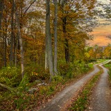 Entry image for Going to the Pumpkin Patch
