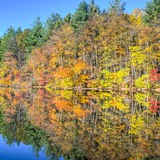 Entry image for Hope Lake