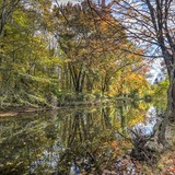 Entry image for Springer Glen Open Space Creek