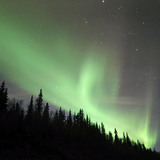 Entry image for Aurora Rising