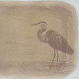 Entry image for Heron - Anthotype print