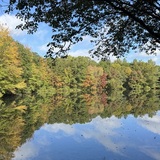 Entry image for Reflecting Autumn Leaves 