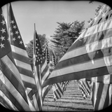 Entry image for Memorial