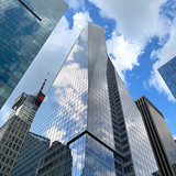 Entry image for Skyscape