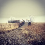 Entry image for Milford Point