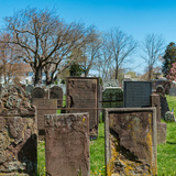 Entry image for 18th Century Families of Fairfield