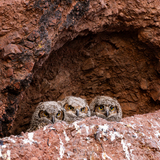 Entry image for Hole in the Rock