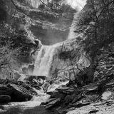 Entry image for Frozen Beauty