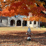 Entry image for Standing Guard