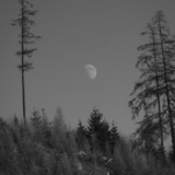 Entry image for Moonrise in the Mountains