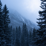 Entry image for Winter Fairytale