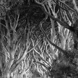 Entry image for The King's Road