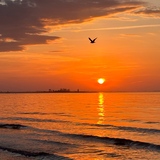Entry image for Sunrise Fly-by