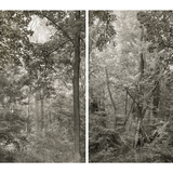 Entry image for J & J