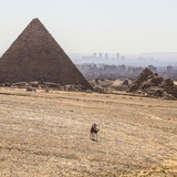 Entry image for Giza