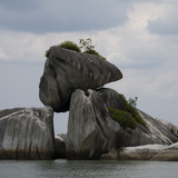 Entry image for A Precarious Balance