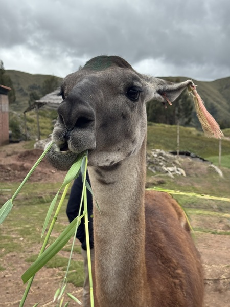 Entry image for Just A Little Snack. Clicking this image will show a larger photo