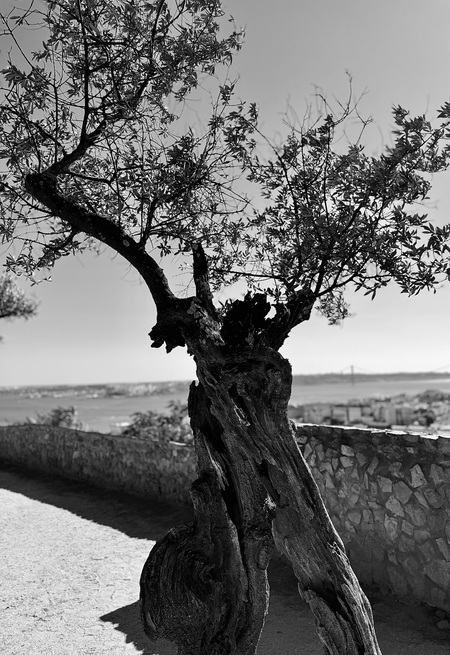 Entry image for Freeze. Clicking this image will show a larger photo