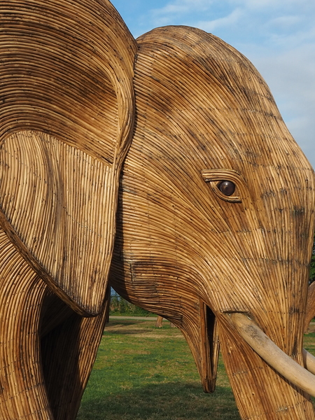 Entry image for Ganesha. Clicking this image will show a larger photo