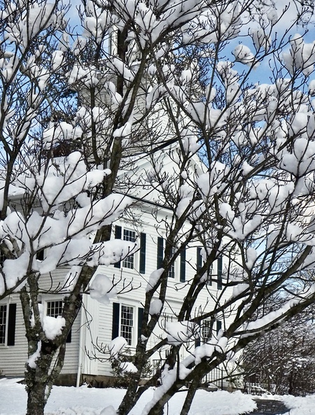 Entry image for Snowpuffs. Clicking this image will show a larger photo