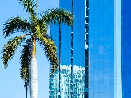 Entry image for Sarasota Visit. Clicking this image will show a larger photo