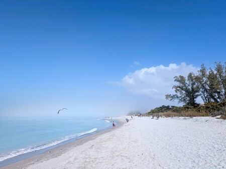 Entry image for Fog Lifts. Clicking this image will show a larger photo