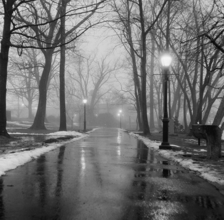 Entry image for Rainy Park. Clicking this image will show a larger photo