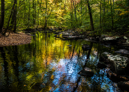Entry image for Iron Stream Northwoods Guilford Summer. Clicking this image will show a larger photo
