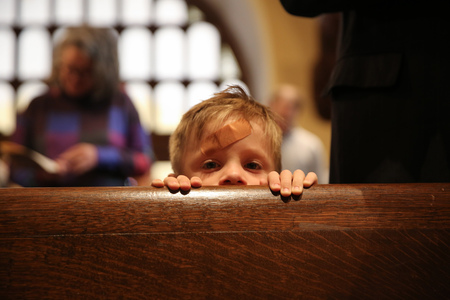 Entry image for In Good Hands. Clicking this image will show a larger photo