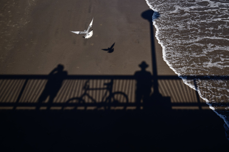 Entry image for Sandy Shores and Shadowed Wings. Clicking this image will show a larger photo