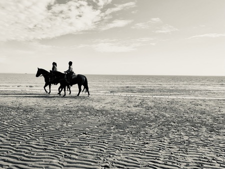 Entry image for A Winter Ride . Clicking this image will show a larger photo