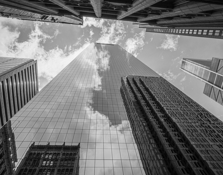 Entry image for Reaching for the Sky. Clicking this image will show a larger photo