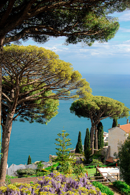 Entry image for Edge of Paradise. Clicking this image will show a larger photo