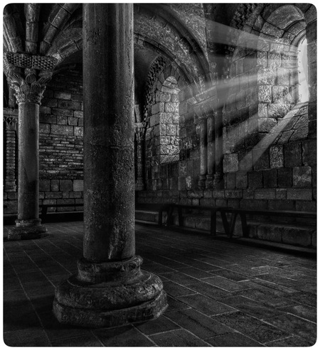 Entry image for Let the light in. Clicking this image will show a larger photo