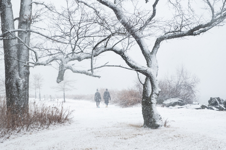 Entry image for A Walk in the Snowstorm. Clicking this image will show a larger photo