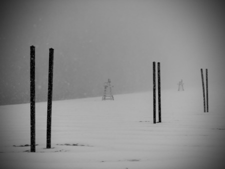 Entry image for Jennings Snowstorm. Clicking this image will show a larger photo