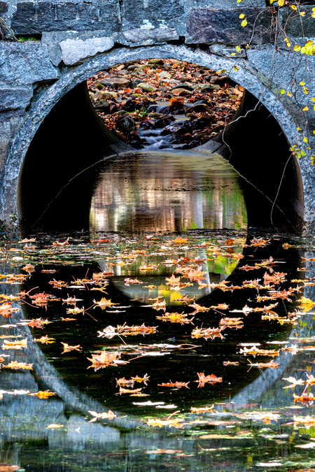 Entry image for Autumn Bridge. Clicking this image will show a larger photo