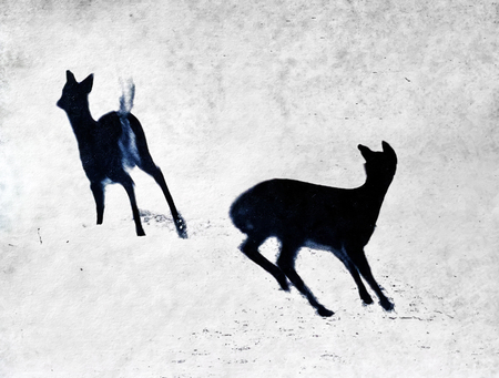 Entry image for Alarm, Cyanotype. Clicking this image will show a larger photo