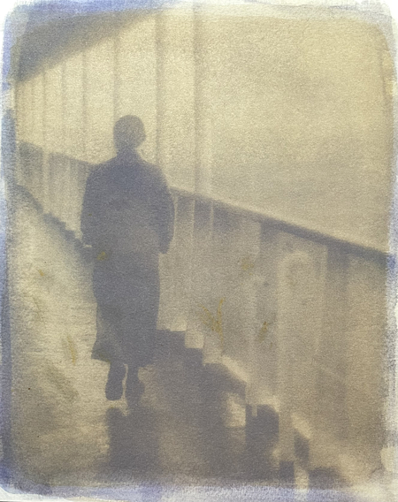 Entry image for Voyage - Anthotype Print. Clicking this image will show a larger photo