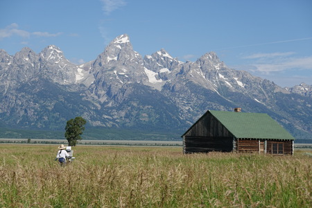 Entry image for Ageless Vista. Clicking this image will show a larger photo
