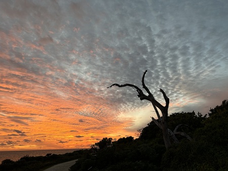 Entry image for Sunset solitude. Clicking this image will show a larger photo