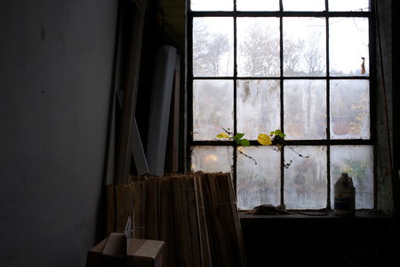 Entry image for Window Dressing. Clicking this image will show a larger photo