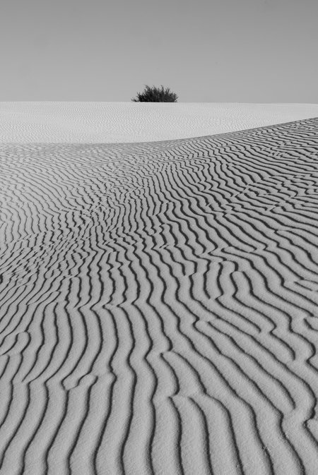 Entry image for Dune's Toupee. Clicking this image will show a larger photo