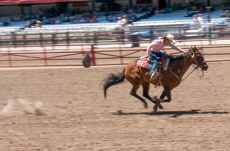Entry image for Barrel Racer. Clicking this image will show a larger photo